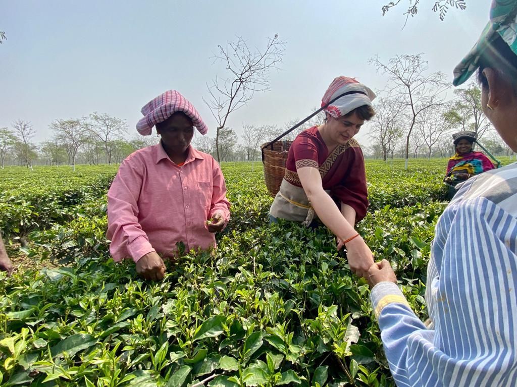 Why tea garden workers are crucial in Bengal, Assam polls?