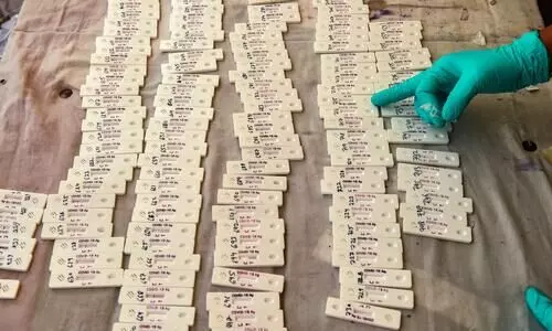 Isolation not mandatory for foreign arrivals testing COVID positive: Authorities