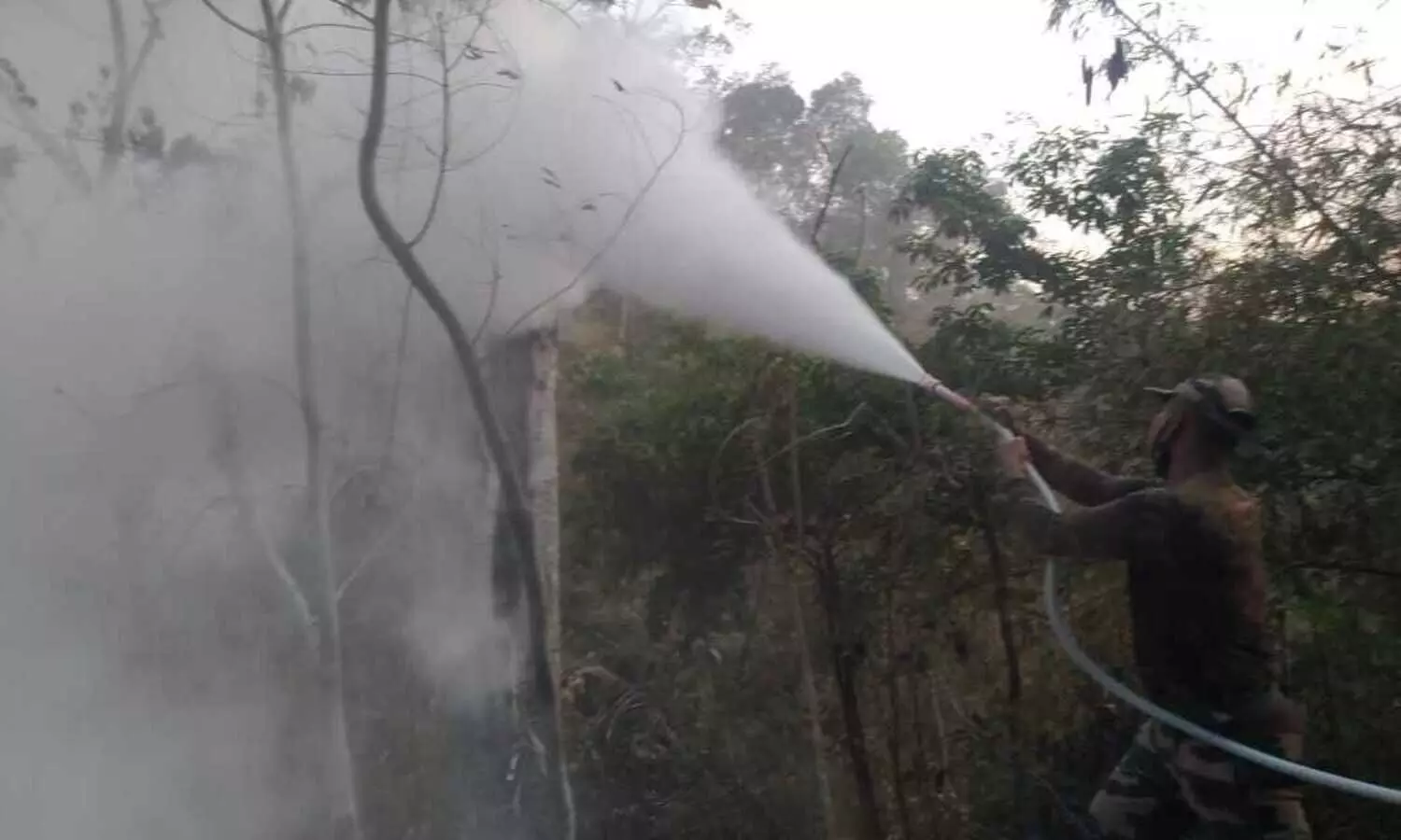 Mizoram fire: Situation under control near residential areas