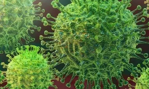 Alpha Covid variant detected in dogs, cats with severe myocarditis