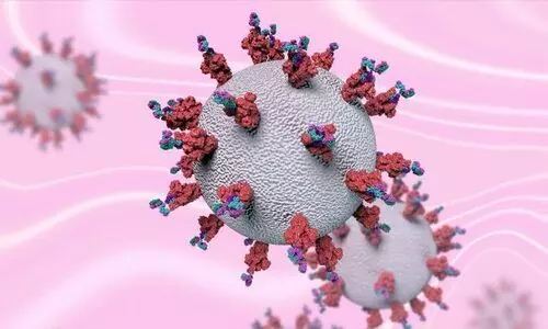 Mild COVID-19 induces lasting antibody protection, study finds