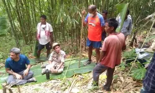 Assam-Mizoram border dispute to be settled soon: Official