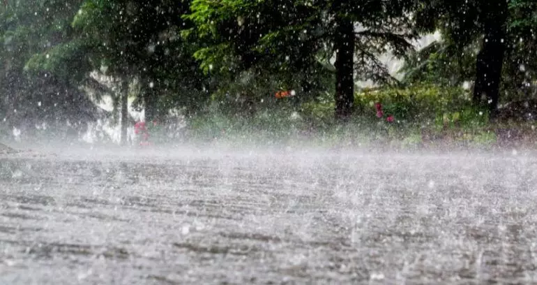 37 per cent excess rainfall so far this monsoon: IMD 37 per cent excess rainfall so far this monsoon: IMD