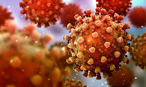 WHO: Delta variant is most transmissible identified so far