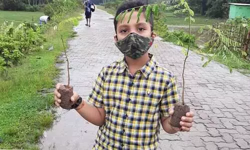Cachar: 9 year old Abhinav celebrates his birthday with tree party