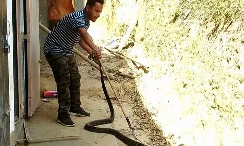 Cachar Forest Division provides snake rescue kits to young herpetologists