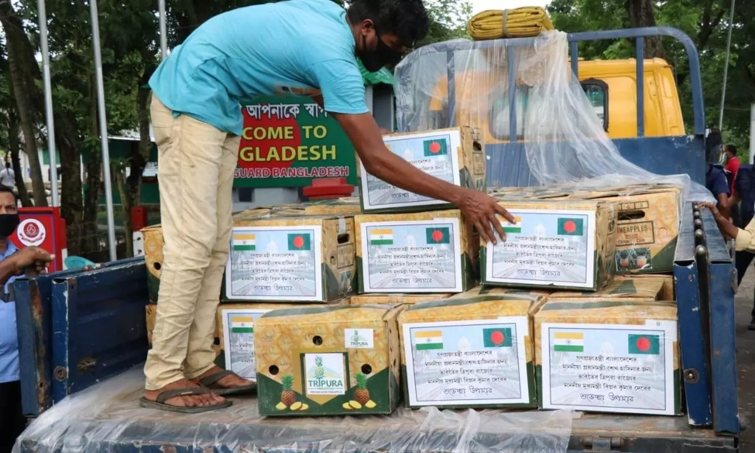 After Hasinas mango gift, Tripura CM sends pineapples to Bdesh PM