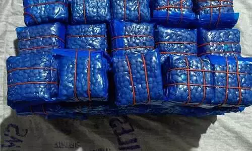 Major drug haul, multiple arrests in Cachar