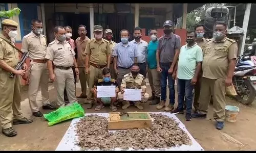 Gecko lizards and pangolin crust recovered in Diphu