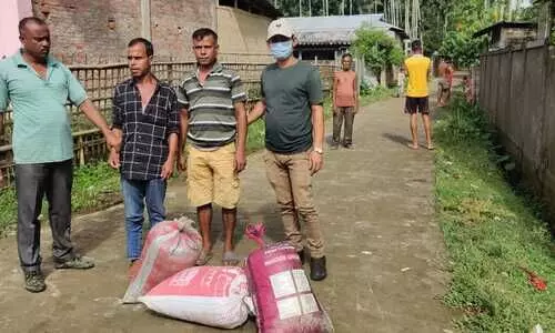 Two arrested with 30kg cannabis in Cachar