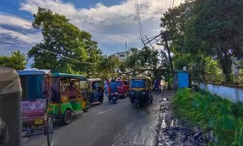 Gusty wind uproots trees,  electricity poles causing power outage in Silchar, restored