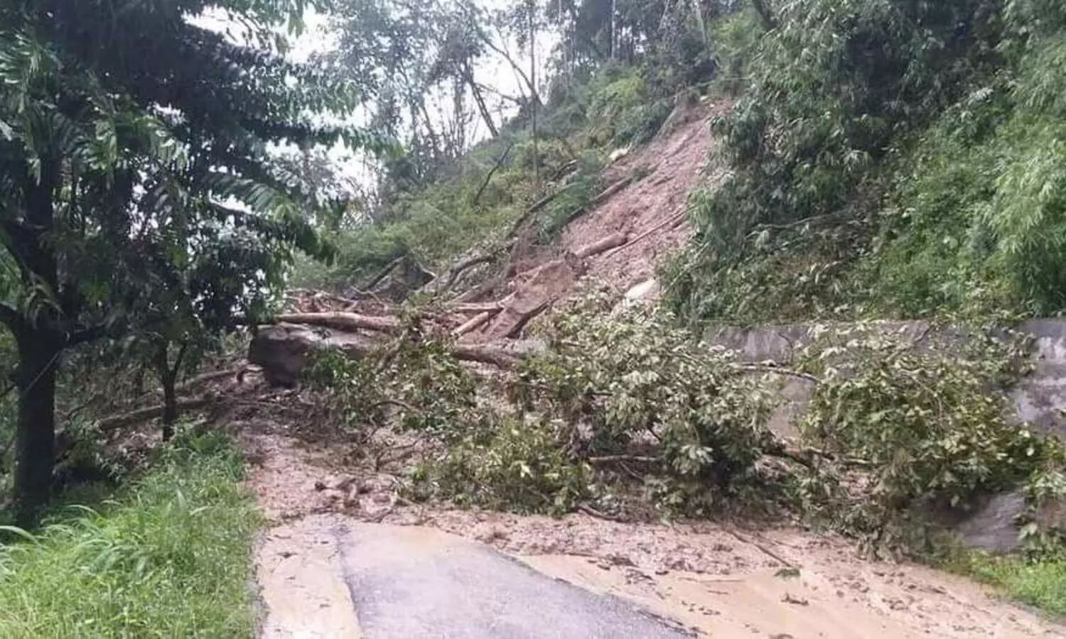 Landslides cut off Sikkim from rest of India, clearing works on