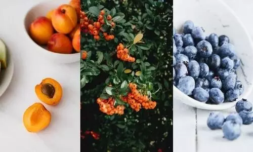 Herbs, nuts and fruits to enhance your daily diet