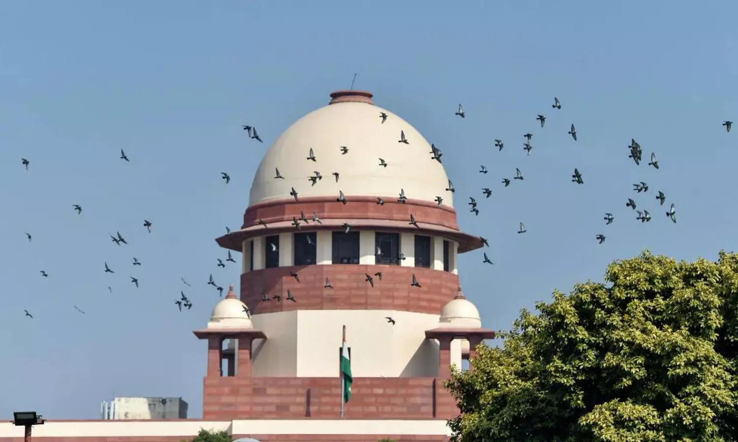 Cannot order for use of traditional remedies like Red Ant Chutney as cure for COVID-19: SC