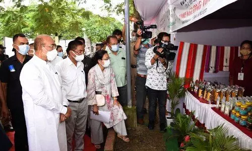 Manipurs Tamenglong orange, Sirarakhong Hathei chilli gets GI tag