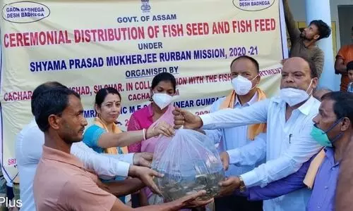 Fishery project under SP Mukherjee RURBAN mission inaugurated in Cachar