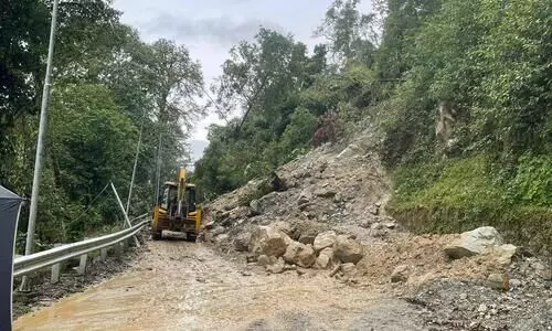 2 killed, 7 injured in stampede following landslide in Himachal Pradesh