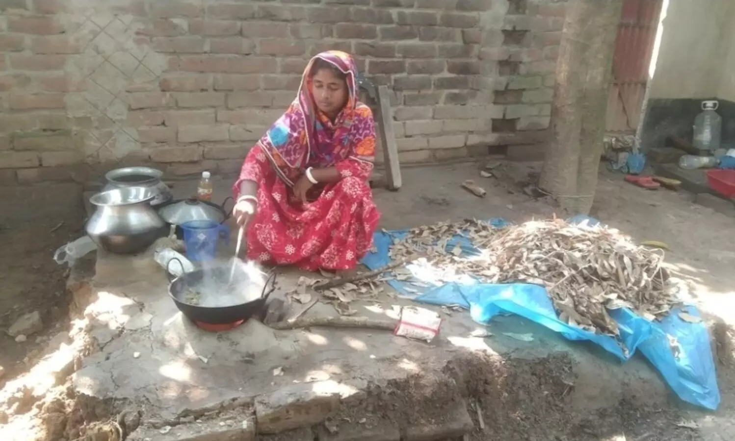 Petition seeks judicial inquiry into communal attacks in Bdesh