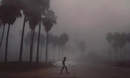 5 products to help fight the ill effects of pollution