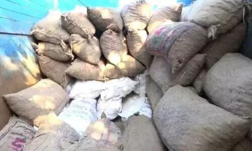 Hailakandi: Burmese betel nut, wood worth Rs 5 crore seized