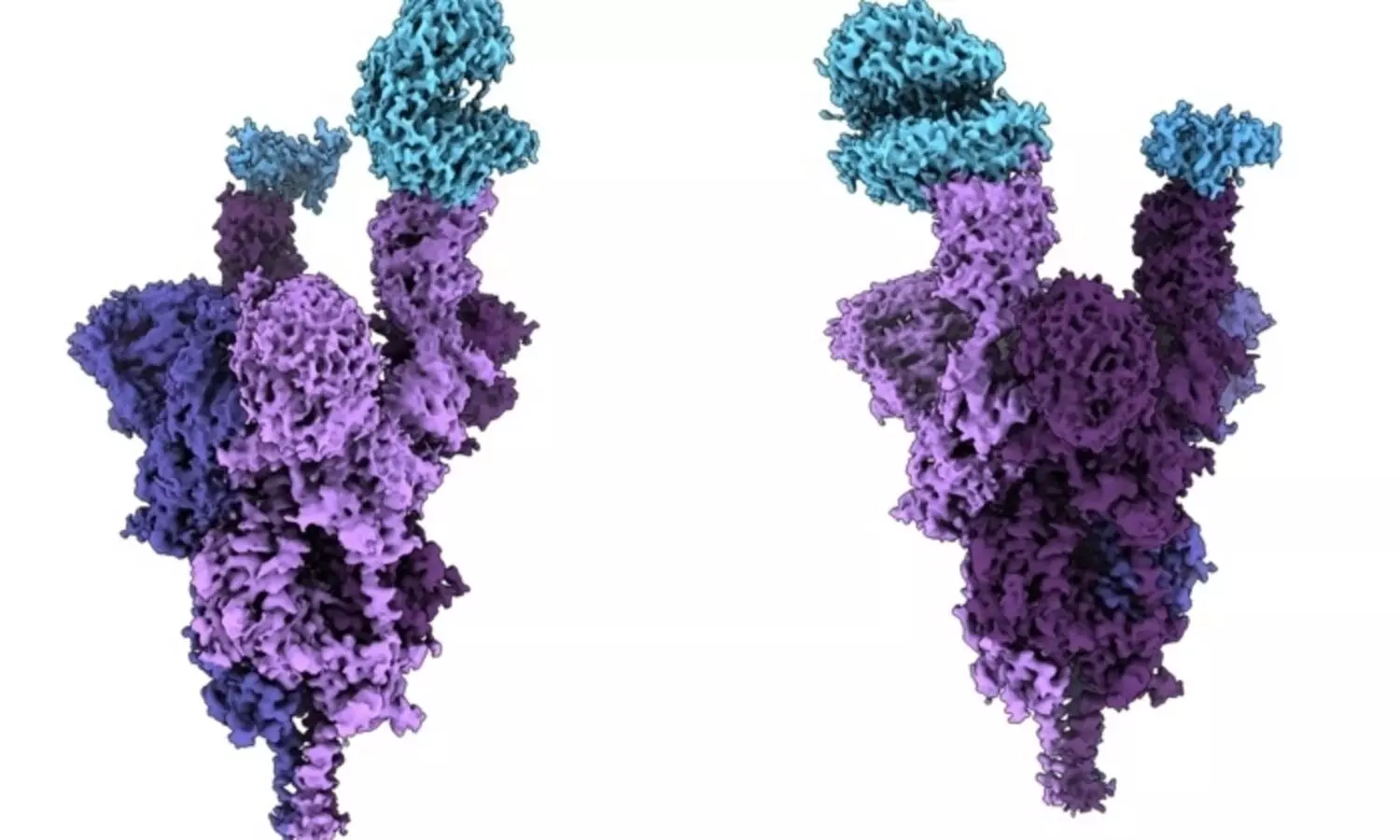 Indian-origin scientist creates 1st molecular structure of Omicron protein
