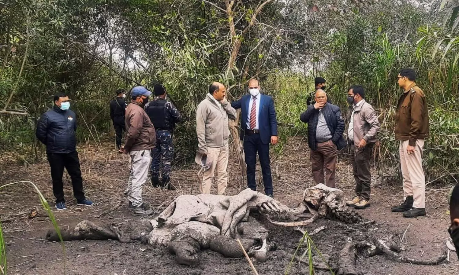 Anti-Poaching Operations: Commando Force to be deployed in Kaziranga National Park