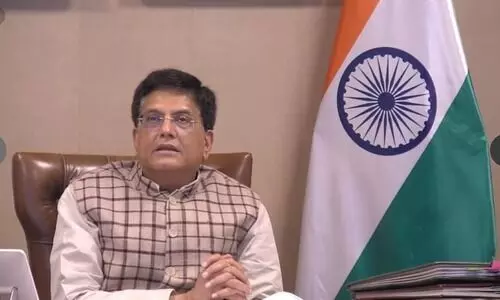 Hyundai must be more forceful in apology: Piyush Goyal