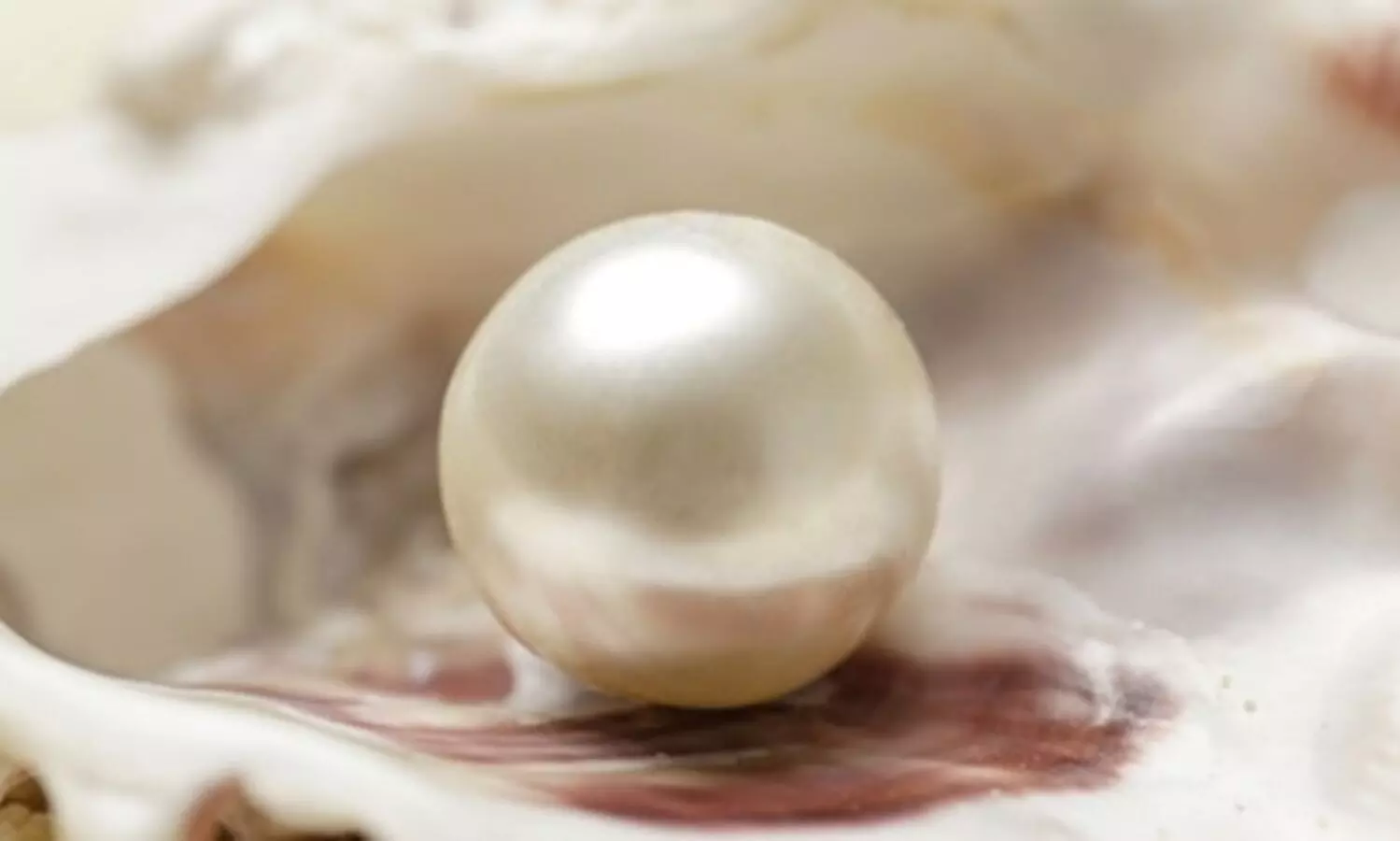 Archaeologists find over 6,500-yr-old pearl bead in Qatar grave