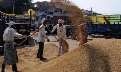 Wheat exports gets fresh push as war unsettles global supply dynamics Wheat exports gets fresh push as war unsettles global supply dynamics