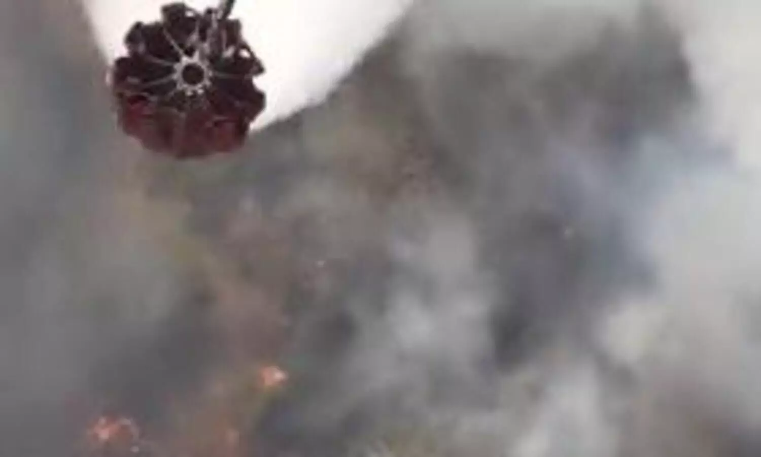 Sariska fire engulfs 20 km of forest area, IAF choppers called in