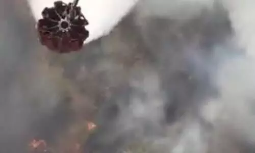 Sariska fire engulfs 20 km of forest area, IAF choppers called in