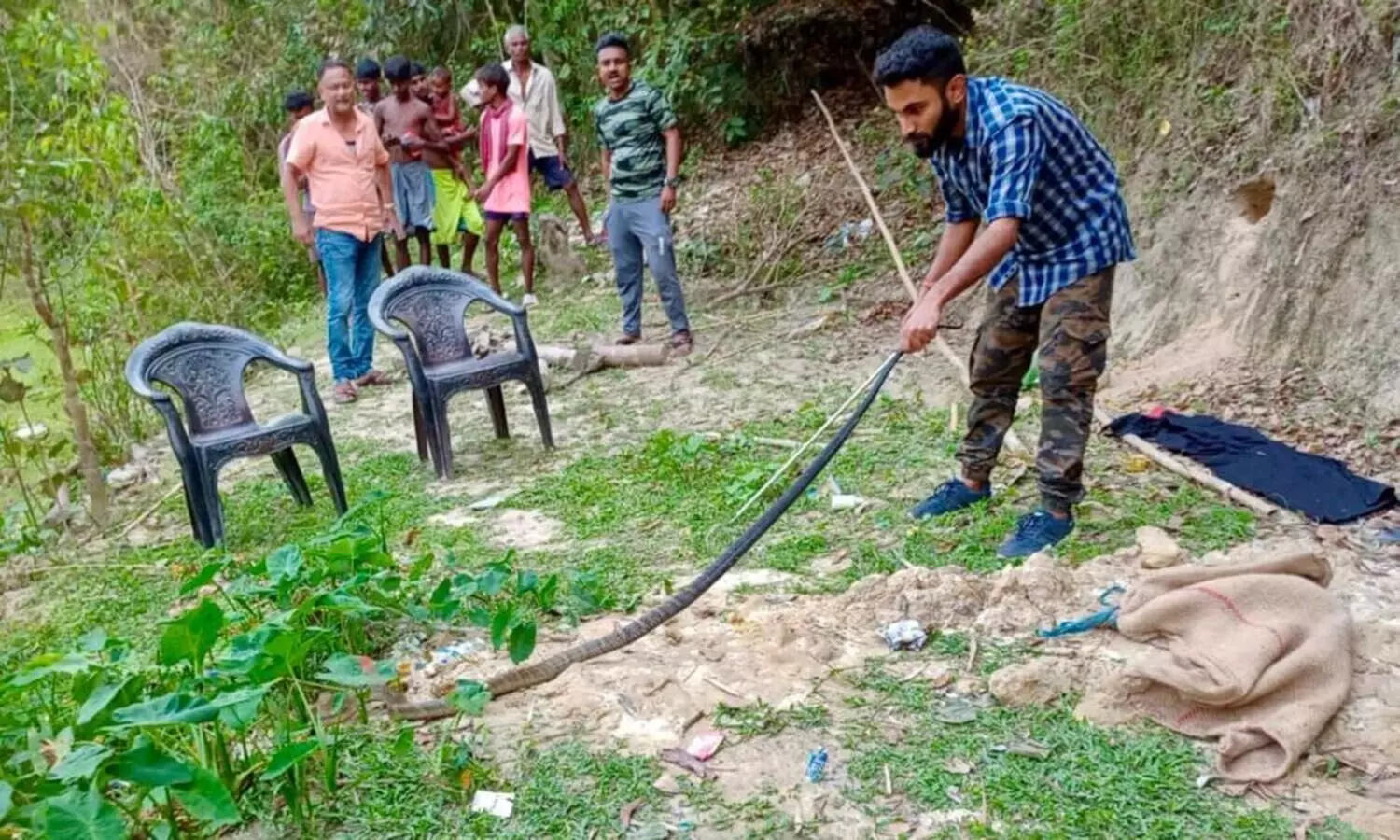 9-feet-long King Cobra rescued in Cachar, later released in wild
