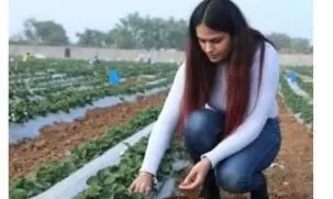 White-collar farmers: Young professionals turn to farming, taste success White-collar farmers: Young professionals turn to farming, taste success