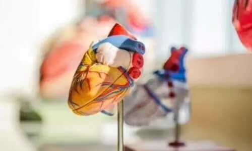 Allergies, asthma may raise risk of high BP, heart disease