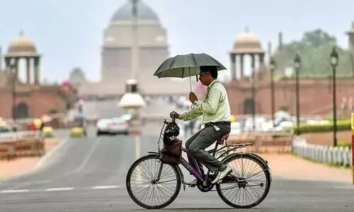 India will get its own index to quantify heat impact next year, says IMD chief