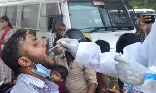 Active COVID-19 cases dip to 17,317