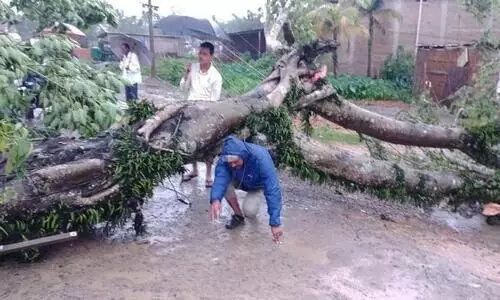 Cyclonic storm cause damage in Cachars Katigorah