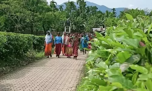 Interest of Doloo TE labourers paramount for us: Silchar MP