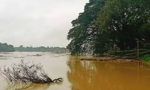 Nearly 1 lakh affected due to flood in Cachar; situation grim