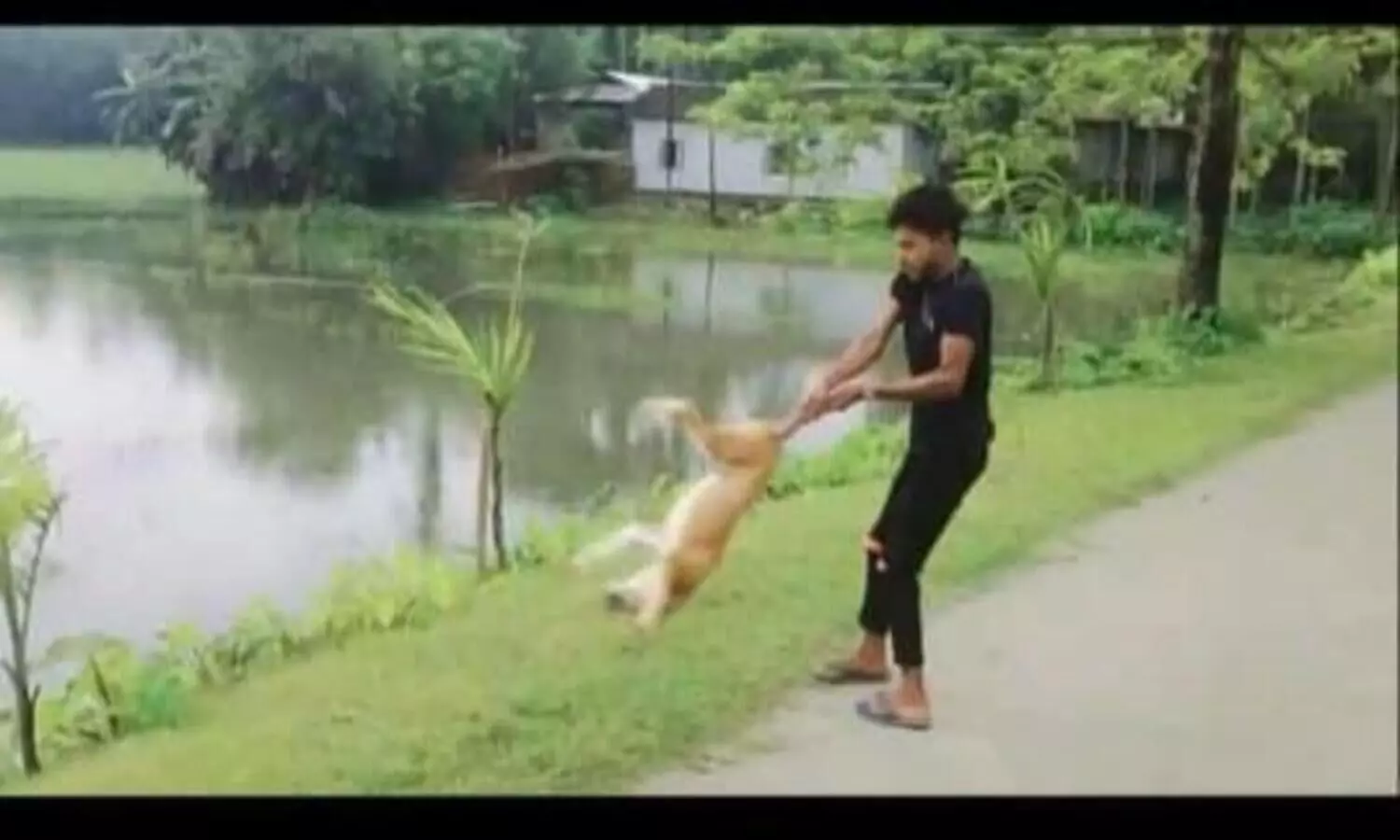 Tripura: Disturbing video of dog abuse goes viral, NGO files FIR