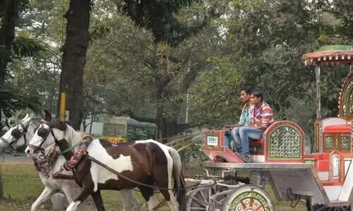 PETA urges Bengal CM to replace horse-drawn carriages for tourists with e-carriages