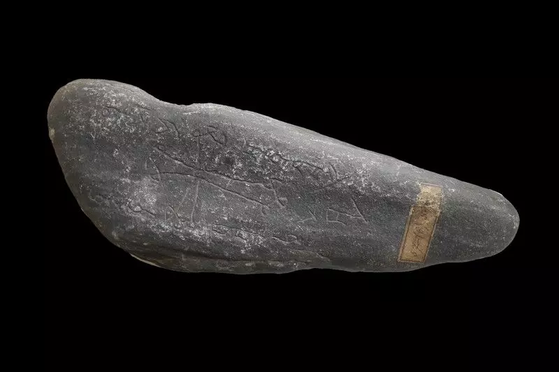 Origins of mid-14th century pandemic Black Death identified Origins of mid-14th century pandemic Black Death identified