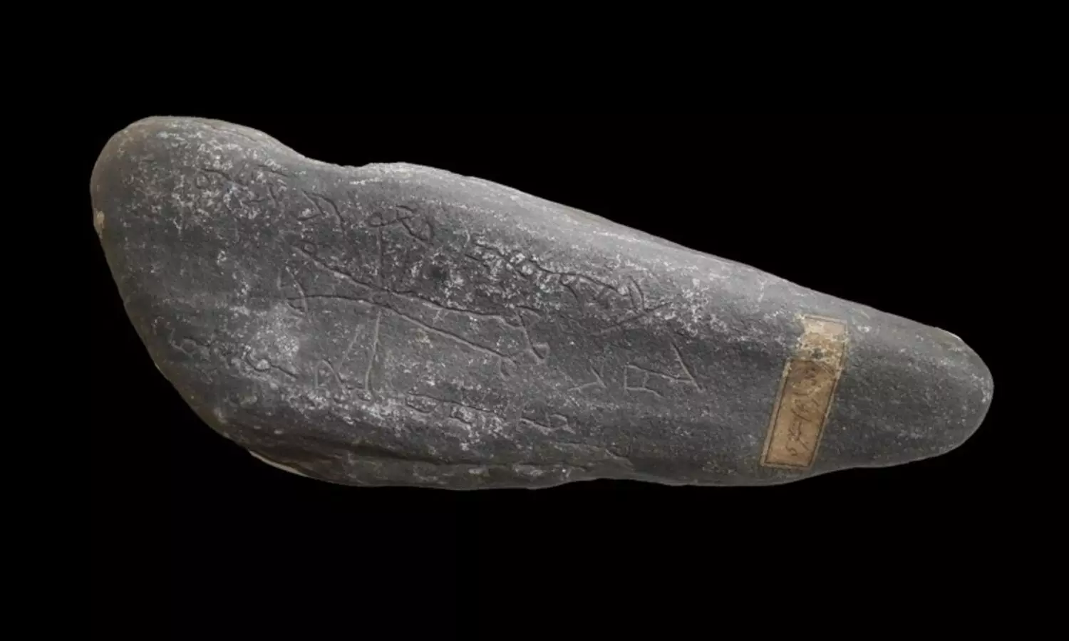 Origins of mid-14th century pandemic Black Death identified