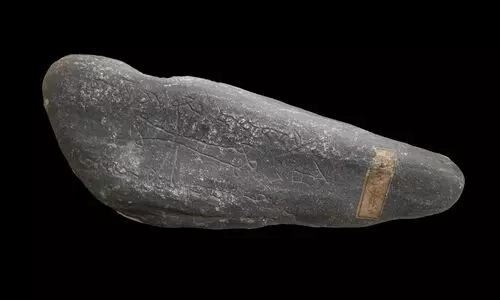 Origins of mid-14th century pandemic Black Death identified