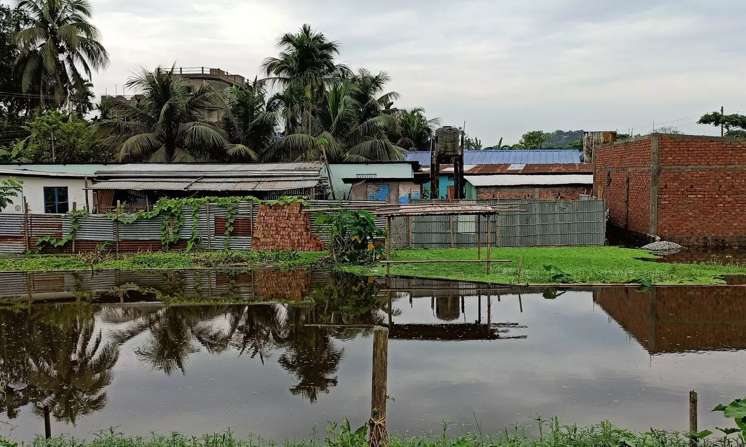 Assam CM thanks Arjun Kapoor, Rohit Shetty for donating Rs 5 lakh for flood relief