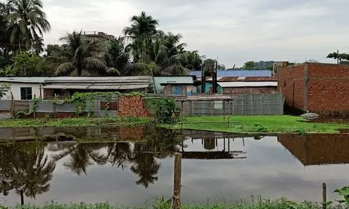 Assam CM thanks Arjun Kapoor, Rohit Shetty for donating Rs 5 lakh for flood relief