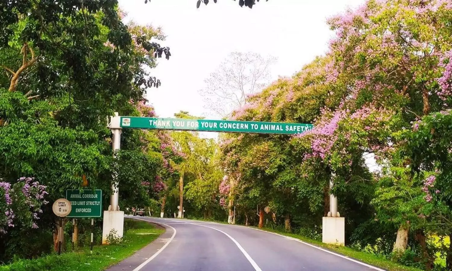 Corridors to co-existence: an attempt to reduce man-animal conflict