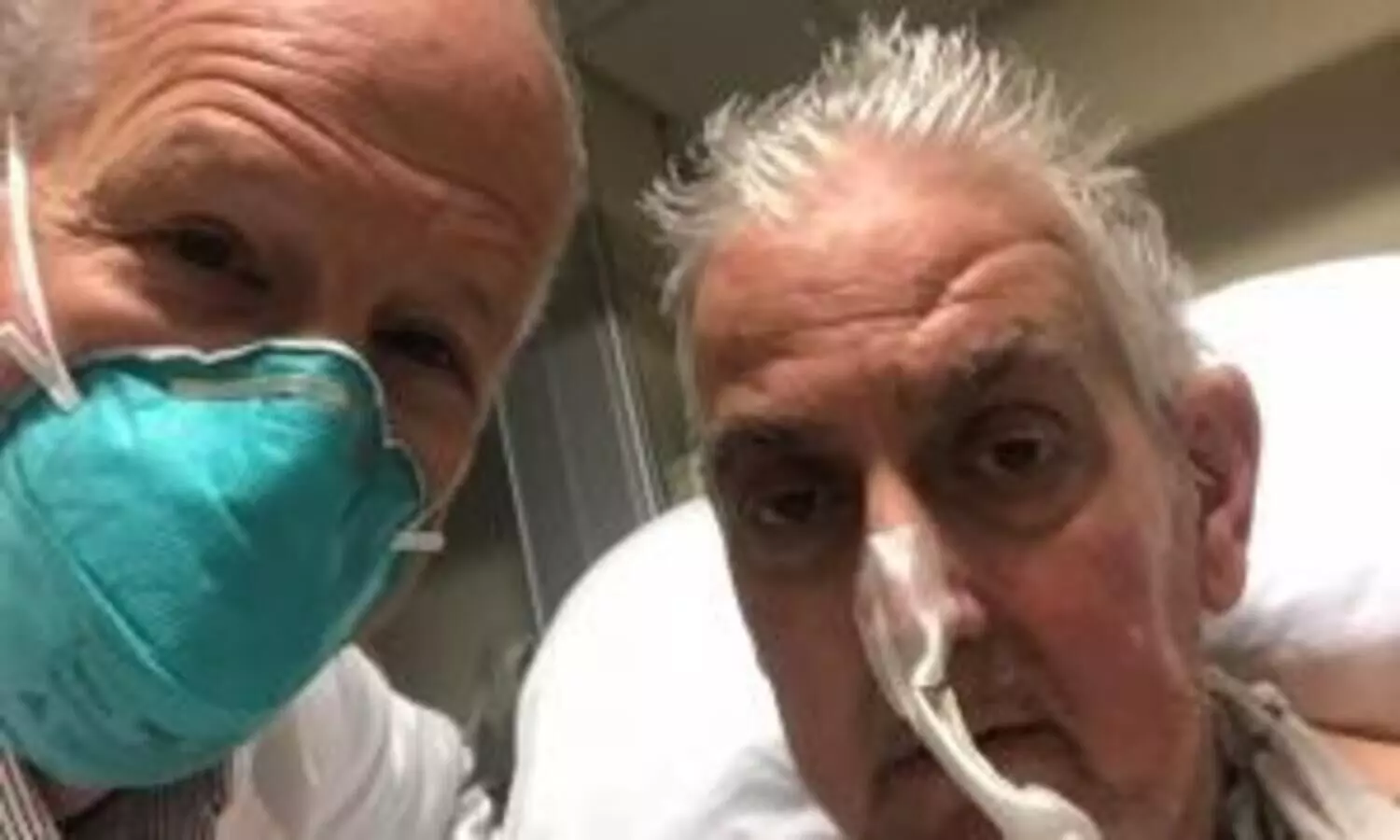 1st pig heart transplant recipient died of heart failure, not rejection