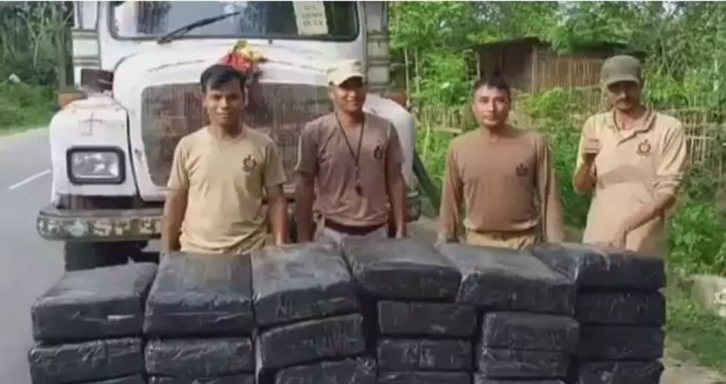 Karbi Anglong police seize 477 kg marijuana, one arrested Karbi Anglong police seize 477 kg marijuana, one arrested