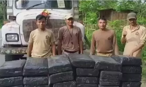 Karbi Anglong police seize 477 kg marijuana, one arrested